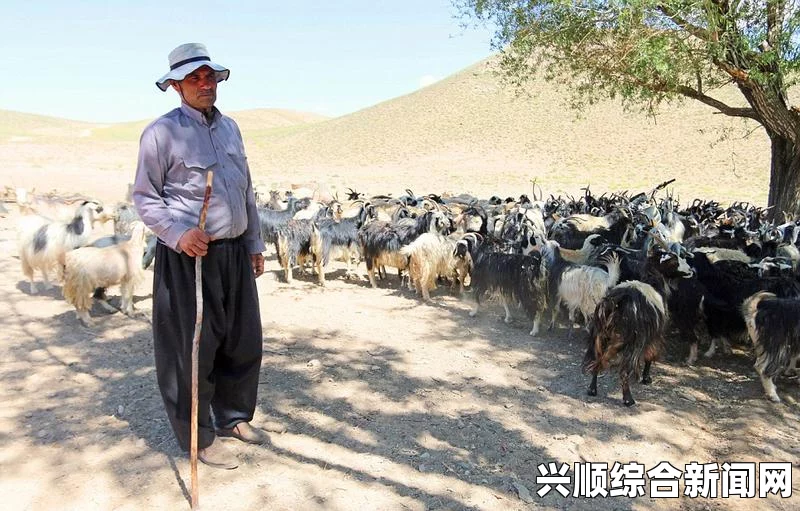 伊朗首都发生小型客机坠毁事件，伤亡情况待确认
