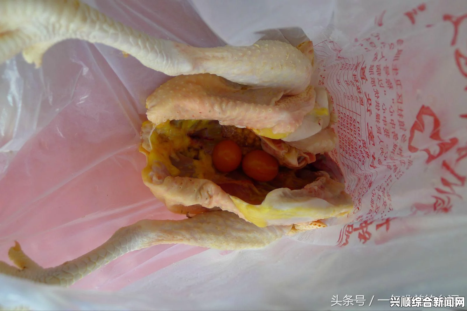 DNF亡魂母鸡一套秒杀暗卢克，深渊战术与极致输出