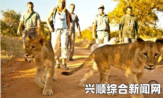 美国女子冒险亲近长颈鹿遭舔脚后遭踢事件引发关注