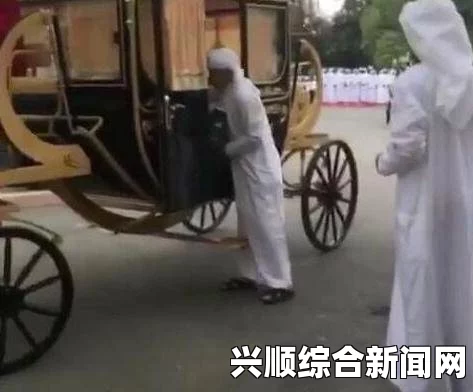 沙特王子车队在巴黎遭遇持枪抢劫，25万欧元现金被抢