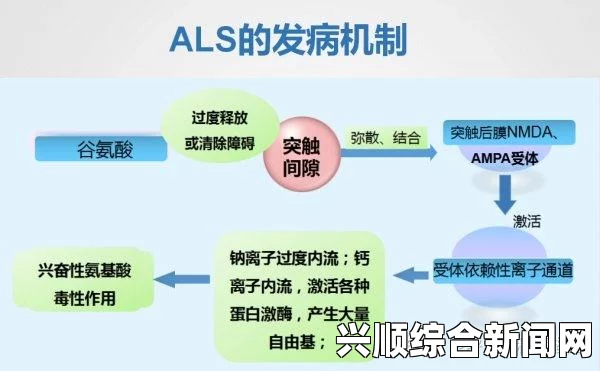 解读对ALS病症状及成因的五大误解，从误解到真相的探索