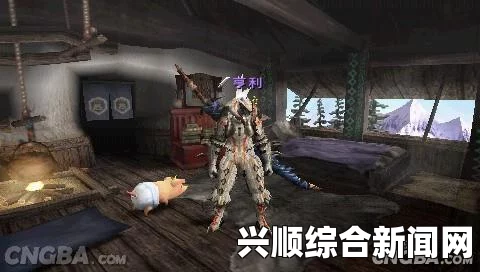 剑士安抚者的隐秘所在