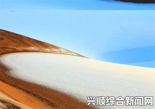 DNF（地下城与勇士）中的光怪陆离的人生，是一款备受玩家喜爱的装备。关于它的SS套属性，下面将为您详细介绍