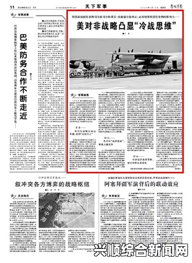 索马里青年党新领导人的接任与未来展望