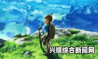 塞尔达传说，荆棘清除攻略