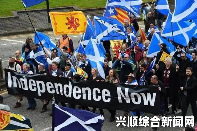 苏格兰全民独立公投时间与独立动因深度解析，公投背后的独立决定因素探讨