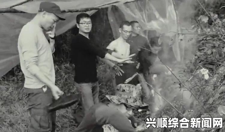 森林指南针使用方法详解
