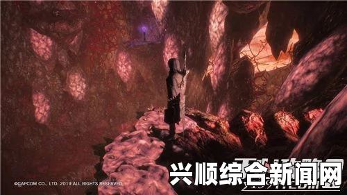 鬼泣5V新手攻略大全，快速上手游戏秘籍揭秘