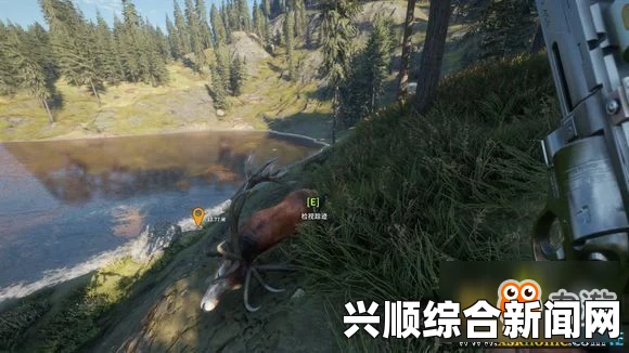 猎人，荒野的召唤—简体中文好评打猎游戏