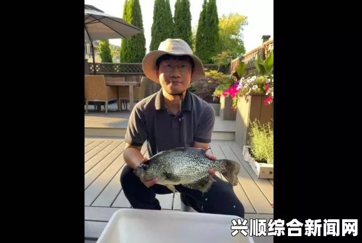 一，加拿大华裔男子惊现走私乌龟事件