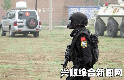 专家深度解读，ISIS恐怖袭击能力的现状与影响