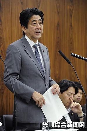 日本学者提交报告给安培政府，呼吁撤停解禁集体自卫权