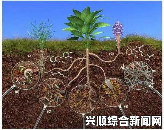 荷兰打造全球首个微生物公园，生态奇迹诞生记