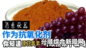 方舟剑龙的食物与饲料深度解析