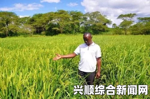 饥荒海滩最佳安家位置攻略详解