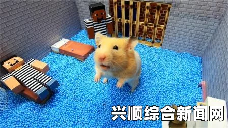 伊朗男子自制大号仓鼠球渡海赴百慕大迷失方向