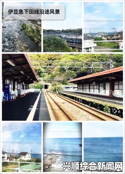 一，巴蓬登陆日本静冈县引起广泛关注