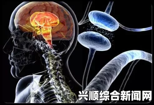 日本医院发现神奇抗体，血液中消灭癌细胞的新突破