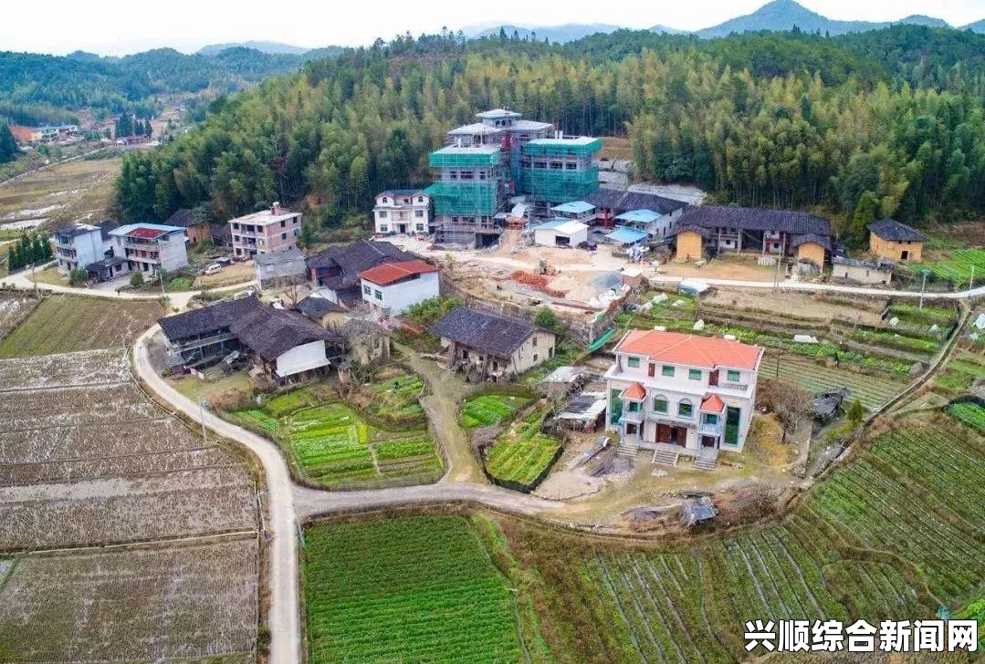 全境封锁2无声问题解析，解决策略与常见问题探讨