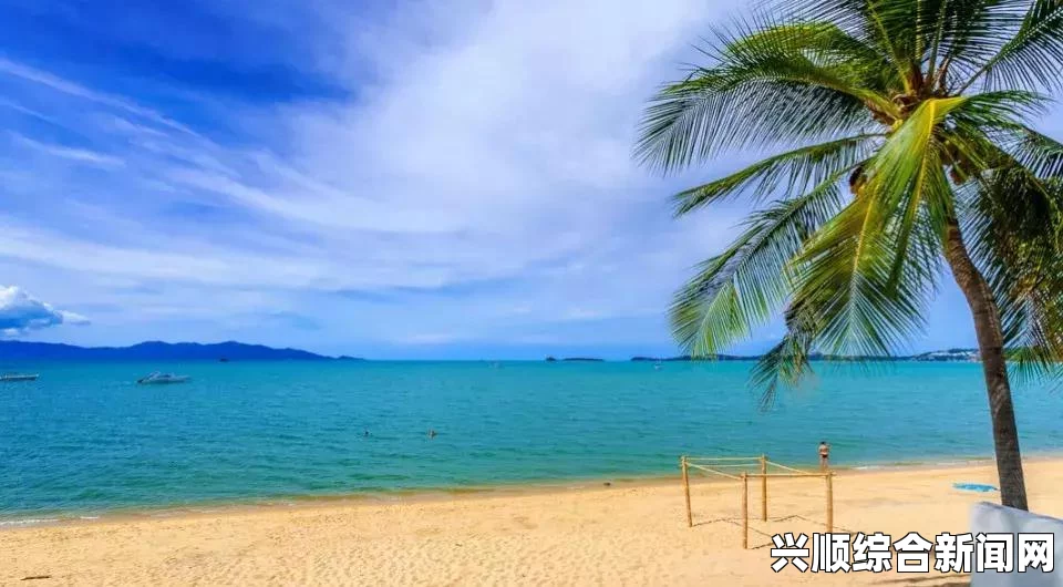 梦幻西游上海滩绿色通道详解，上海二区上海滩的独特体验